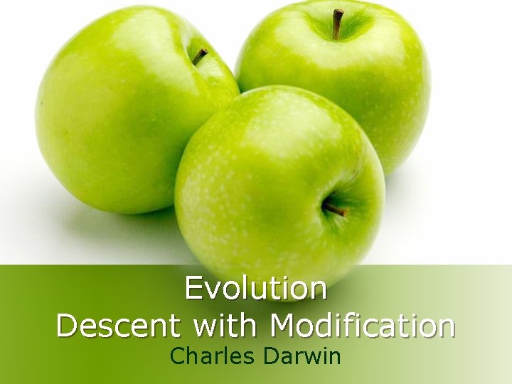 Evolution Descent with Modification Charles Darwin 