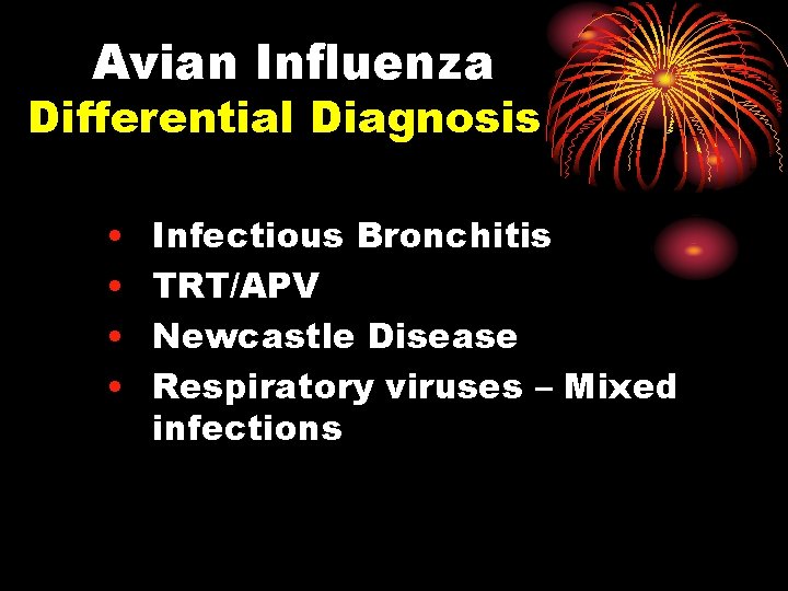 Avian Influenza Differential Diagnosis • • Infectious Bronchitis TRT/APV Newcastle Disease Respiratory viruses –