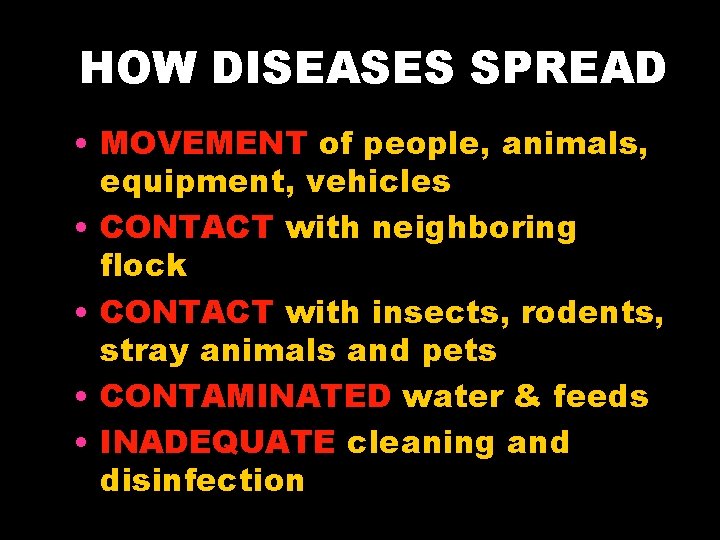 HOW DISEASES SPREAD • MOVEMENT of people, animals, equipment, vehicles • CONTACT with neighboring