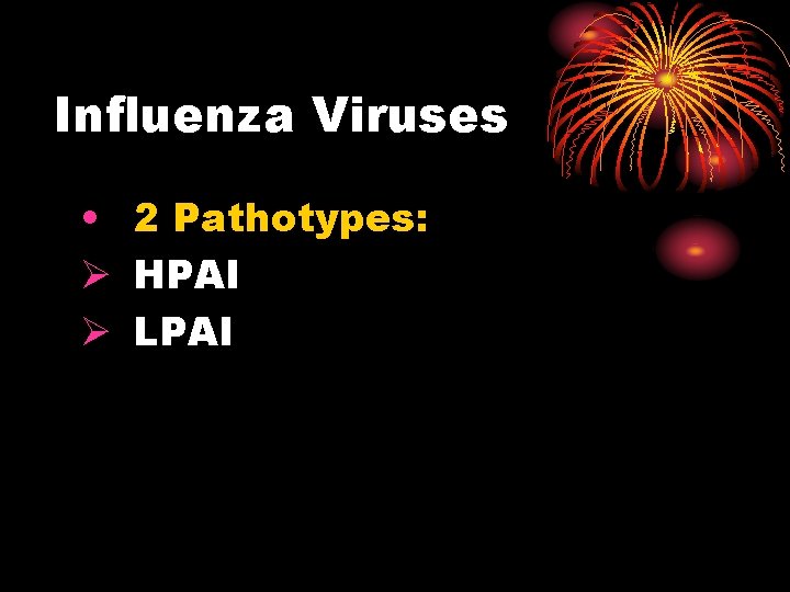 Influenza Viruses • 2 Pathotypes: Ø HPAI Ø LPAI 