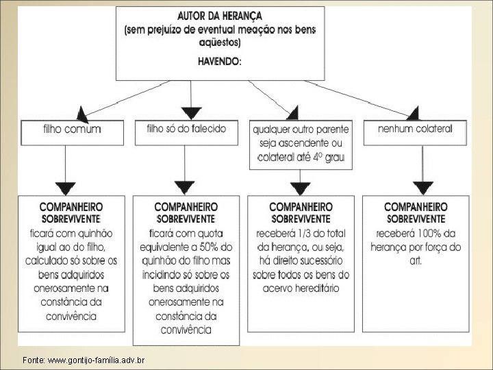 Fonte: www. gontijo-família. adv. br 