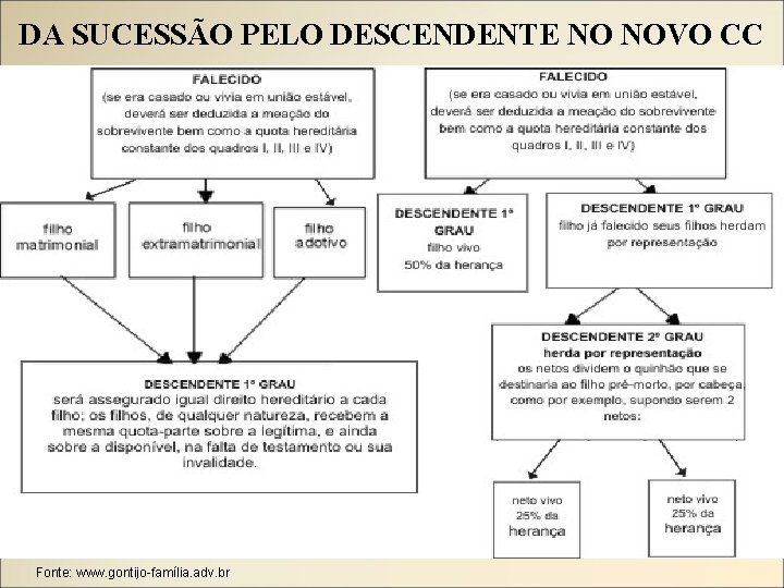 DA SUCESSÃO PELO DESCENDENTE NO NOVO CC Fonte: www. gontijo-família. adv. br 