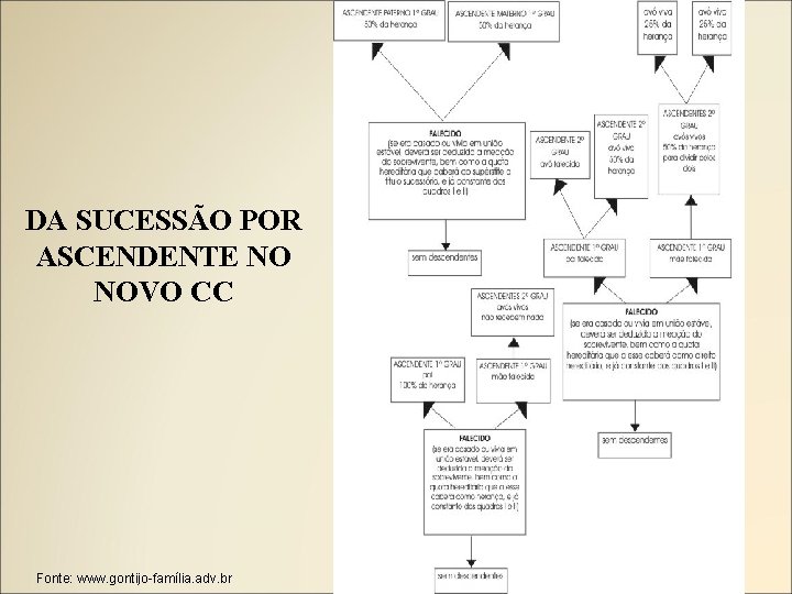 DA SUCESSÃO POR ASCENDENTE NO NOVO CC Fonte: www. gontijo-família. adv. br 