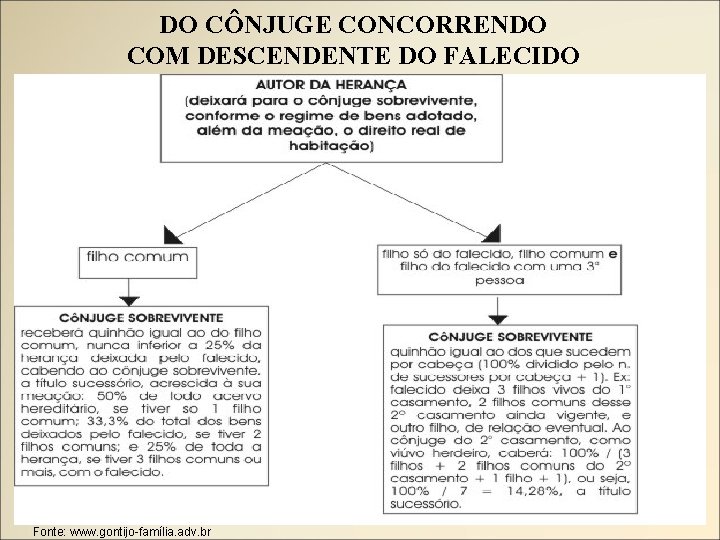 DO CÔNJUGE CONCORRENDO COM DESCENDENTE DO FALECIDO Fonte: www. gontijo-família. adv. br 