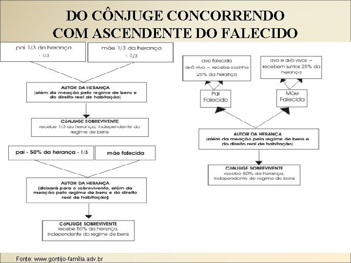 DO CÔNJUGE CONCORRENDO COM ASCENDENTE DO FALECIDO Fonte: www. gontijo-família. adv. br 