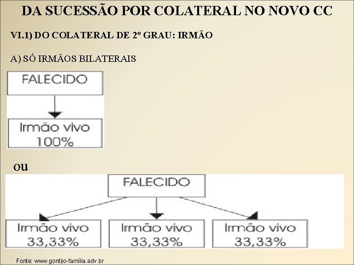 DA SUCESSÃO POR COLATERAL NO NOVO CC VI. 1) DO COLATERAL DE 2º GRAU: