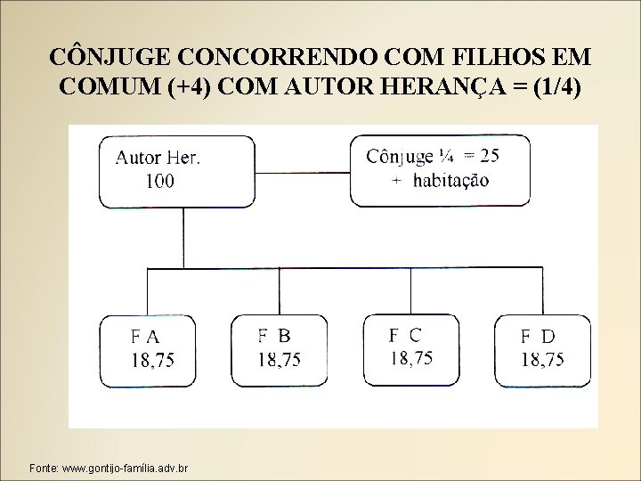 CÔNJUGE CONCORRENDO COM FILHOS EM COMUM (+4) COM AUTOR HERANÇA = (1/4) Fonte: www.