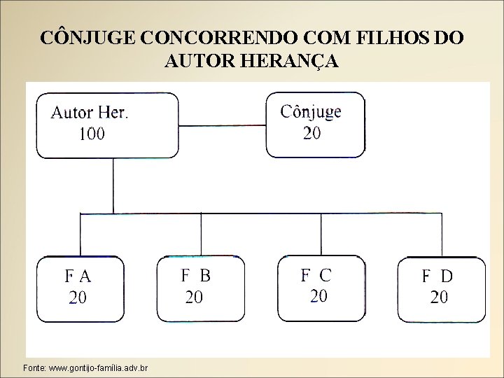 CÔNJUGE CONCORRENDO COM FILHOS DO AUTOR HERANÇA Fonte: www. gontijo-família. adv. br 