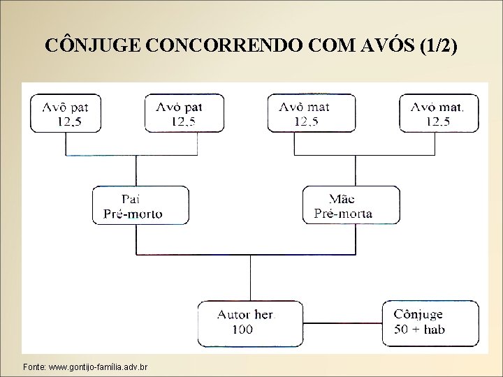 CÔNJUGE CONCORRENDO COM AVÓS (1/2) Fonte: www. gontijo-família. adv. br 
