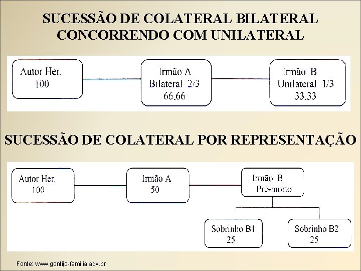 SUCESSÃO DE COLATERAL BILATERAL CONCORRENDO COM UNILATERAL SUCESSÃO DE COLATERAL POR REPRESENTAÇÃO Fonte: www.