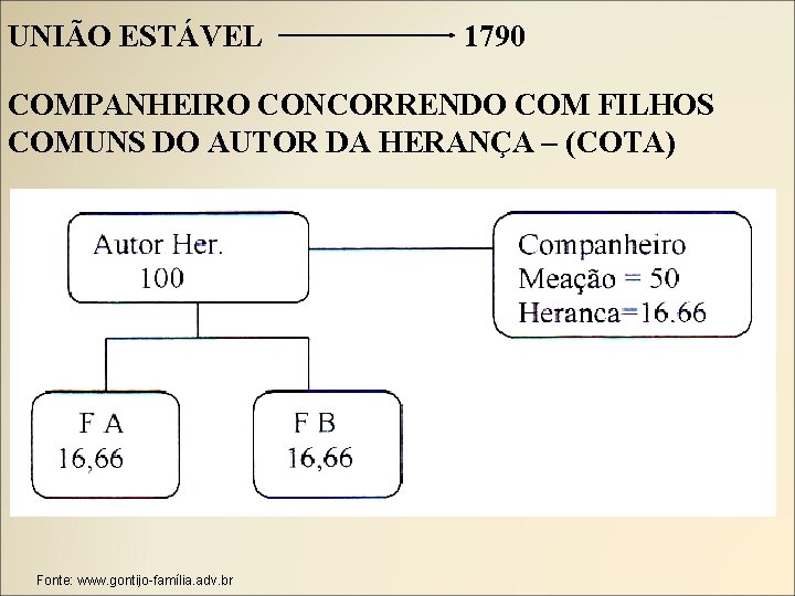 UNIÃO ESTÁVEL 1790 COMPANHEIRO CONCORRENDO COM FILHOS COMUNS DO AUTOR DA HERANÇA – (COTA)