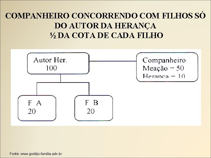 COMPANHEIRO CONCORRENDO COM FILHOS SÓ DO AUTOR DA HERANÇA ½ DA COTA DE CADA