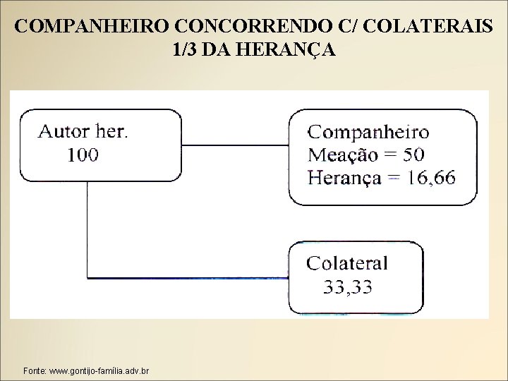 COMPANHEIRO CONCORRENDO C/ COLATERAIS 1/3 DA HERANÇA Fonte: www. gontijo-família. adv. br 