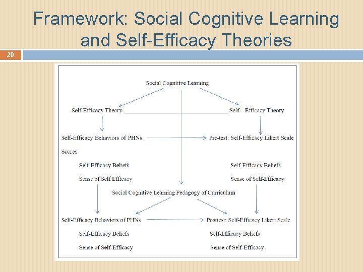 Framework: Social Cognitive Learning and Self-Efficacy Theories 20 