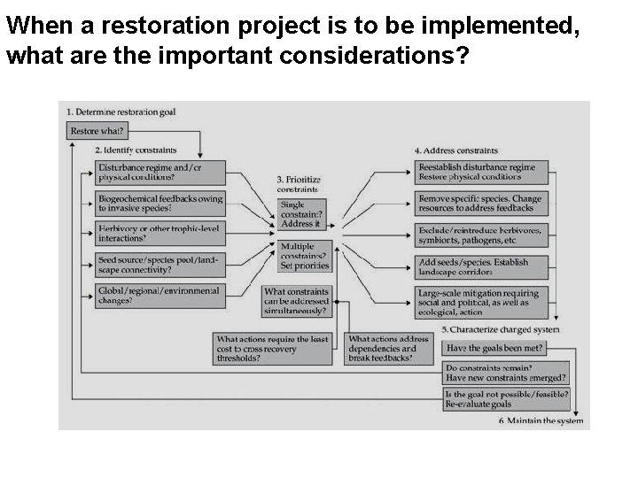 When a restoration project is to be implemented, what are the important considerations? 