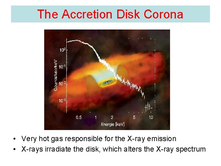 The Accretion Disk Corona • Very hot gas responsible for the X-ray emission •