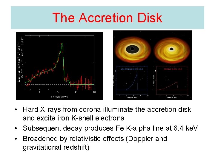 The Accretion Disk • Hard X-rays from corona illuminate the accretion disk and excite