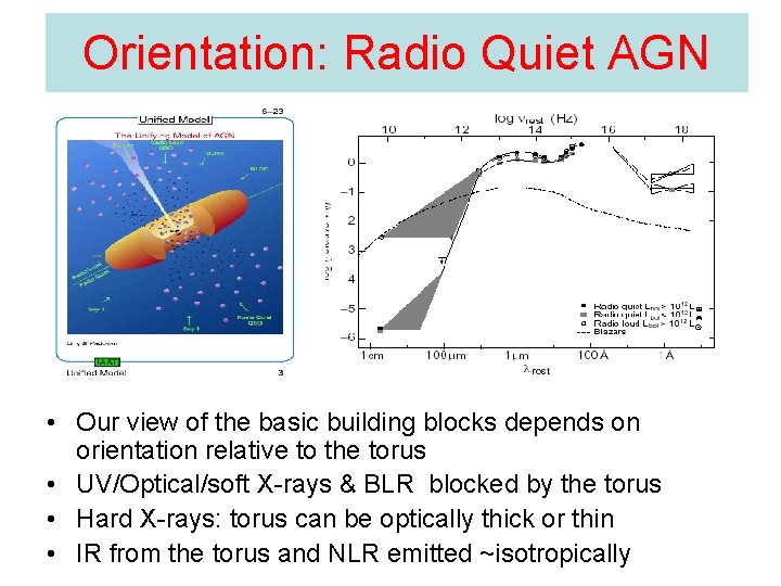 Orientation: Radio Quiet AGN • Our view of the basic building blocks depends on