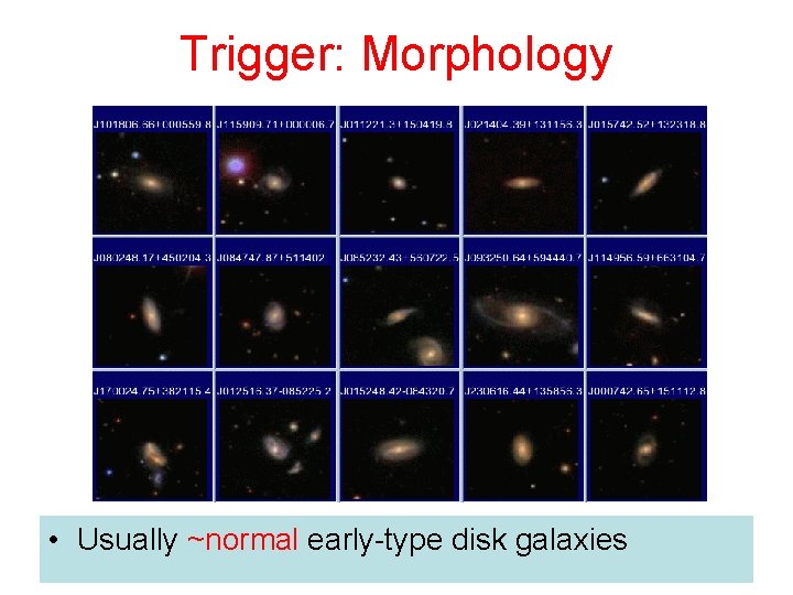 Trigger: Morphology • Usually ~normal early-type disk galaxies 