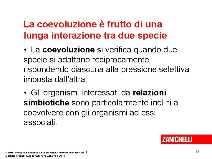 La coevoluzione è frutto di una lunga interazione tra due specie • La coevoluzione