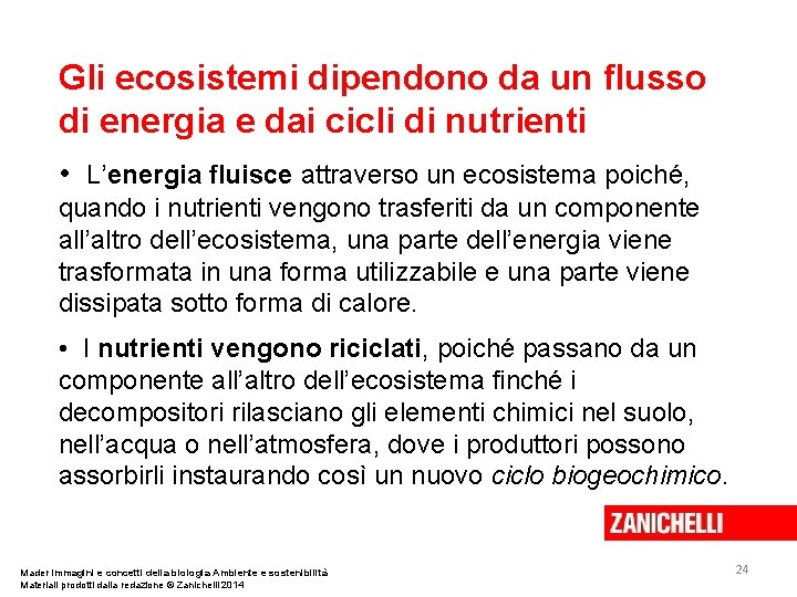 Gli ecosistemi dipendono da un flusso di energia e dai cicli di nutrienti •