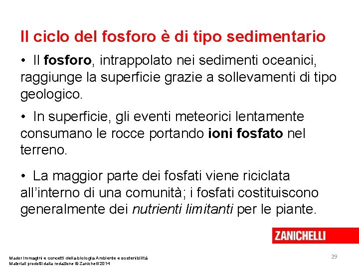 Il ciclo del fosforo è di tipo sedimentario • Il fosforo, intrappolato nei sedimenti