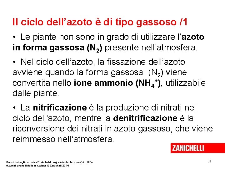 Il ciclo dell’azoto è di tipo gassoso /1 • Le piante non sono in