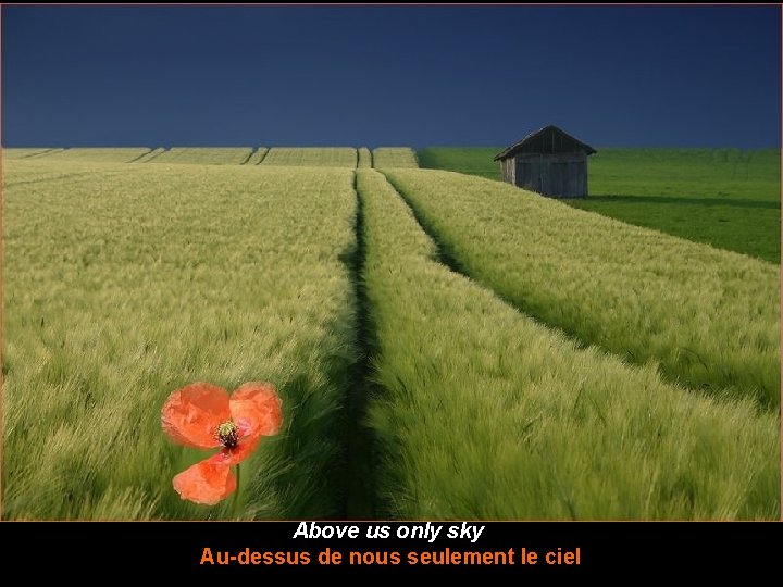 Above us only sky Au-dessus de nous seulement le ciel 