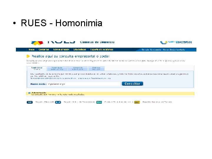  • RUES - Homonimia 