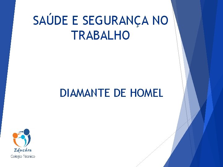 SAÚDE E SEGURANÇA NO TRABALHO DIAMANTE DE HOMEL 