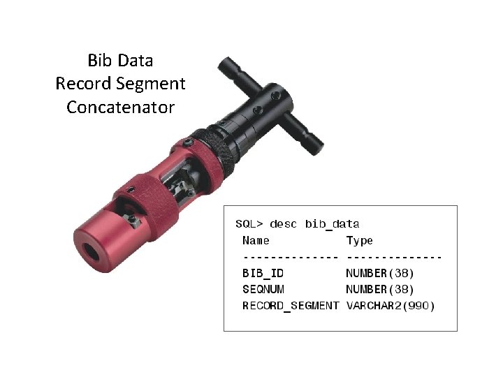 Bib Data Record Segment Concatenator 