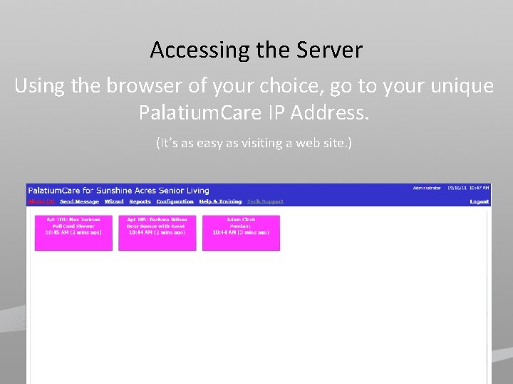 Accessing the Server Using the browser of your choice, go to your unique Palatium.