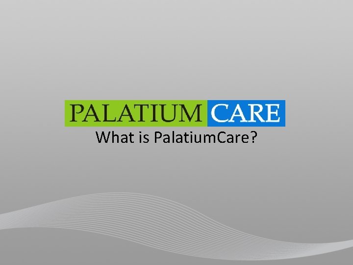 What is Palatium. Care? 