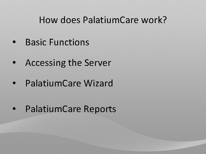 How does Palatium. Care work? • Basic Functions • Accessing the Server • Palatium.