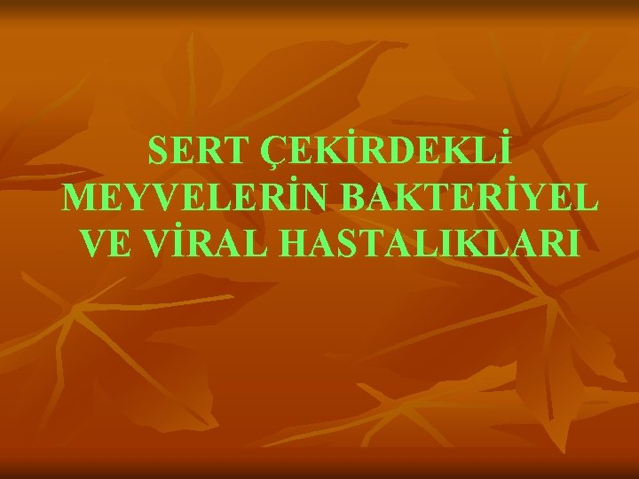 SERT ÇEKİRDEKLİ MEYVELERİN BAKTERİYEL VE VİRAL HASTALIKLARI 