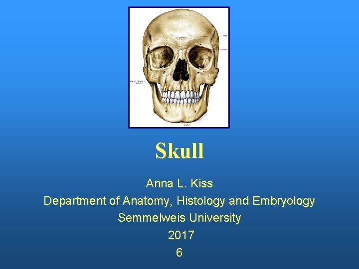 Skull Anna L. Kiss Department of Anatomy, Histology and Embryology Semmelweis University 2017 6