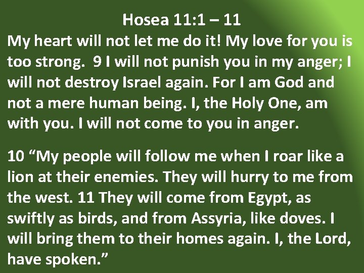 Hosea 11: 1 – 11 My heart will not let me do it! My
