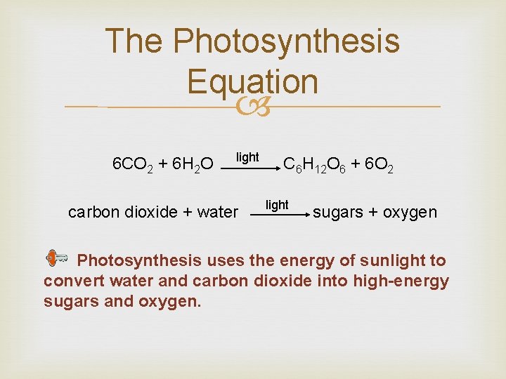 The Photosynthesis Equation 6 CO 2 + 6 H 2 O light carbon dioxide