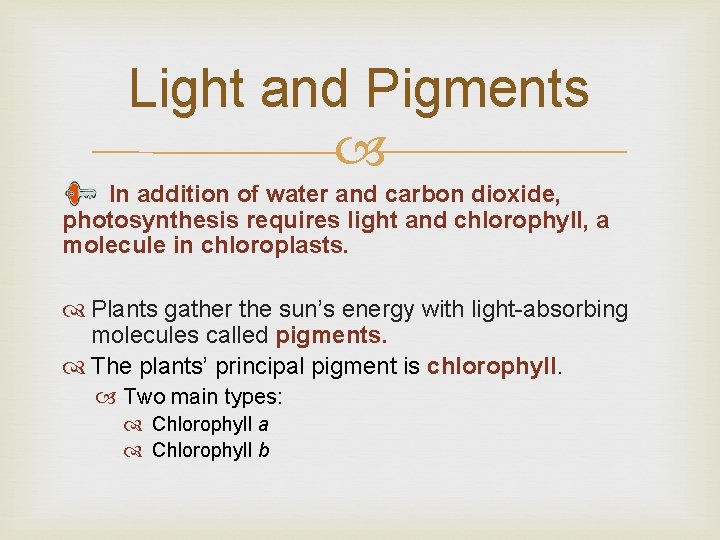 Light and Pigments In addition of water and carbon dioxide, photosynthesis requires light and