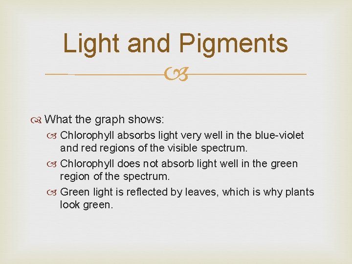 Light and Pigments What the graph shows: Chlorophyll absorbs light very well in the