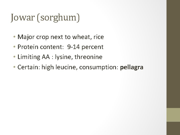 Jowar (sorghum) • Major crop next to wheat, rice • Protein content: 9 -14