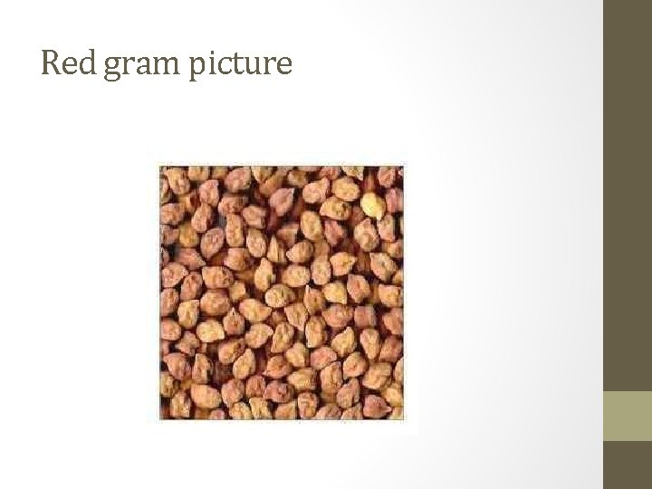 Red gram picture 