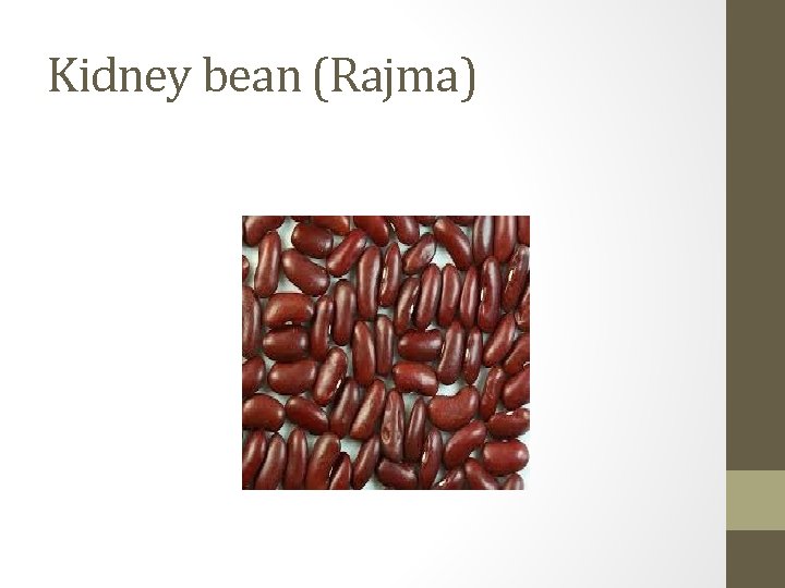 Kidney bean (Rajma) 