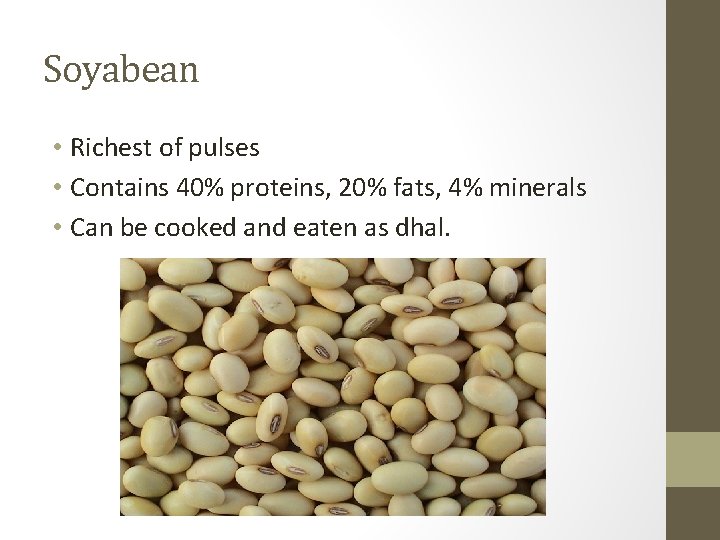 Soyabean • Richest of pulses • Contains 40% proteins, 20% fats, 4% minerals •