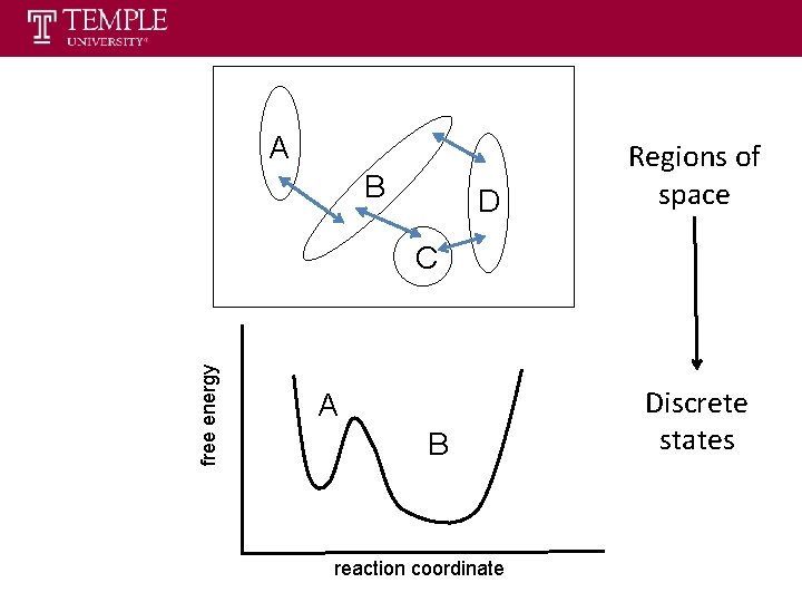 A B D Regions of space free energy C A B reaction coordinate Discrete