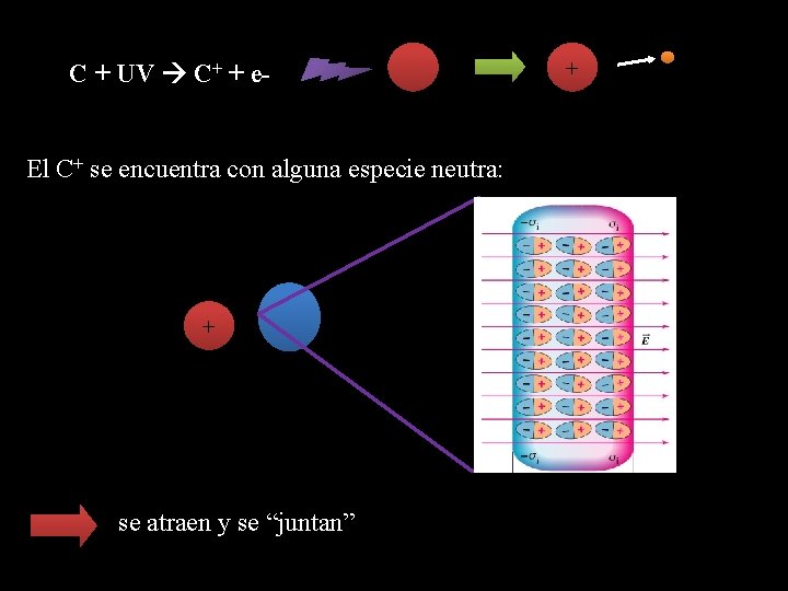 C + UV C+ + e. El C+ se encuentra con alguna especie neutra: