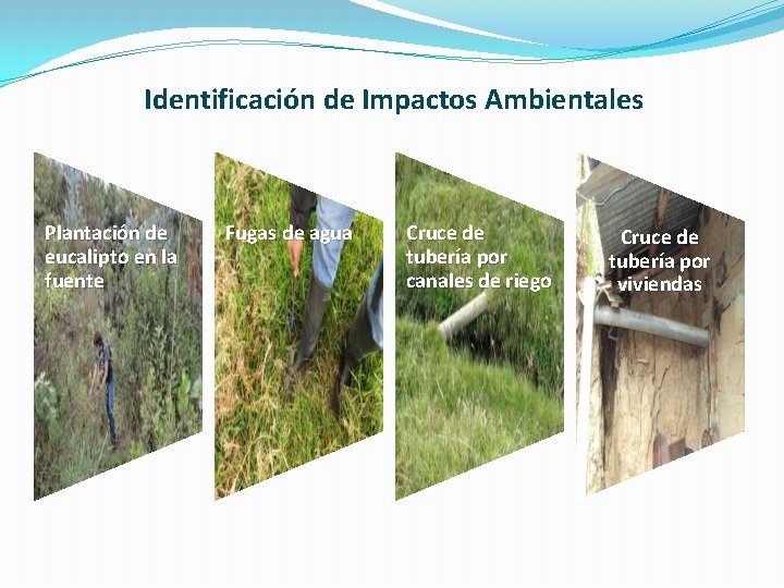 Identificación de Impactos Ambientales Plantación de eucalipto en la fuente Fugas de agua Cruce