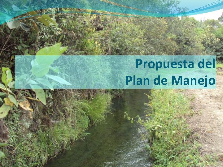 Propuesta del Plan de Manejo 