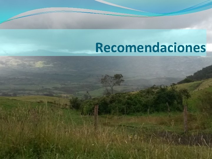 Recomendaciones 