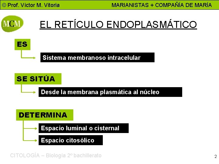 © Prof. Víctor M. Vitoria MARIANISTAS + COMPAÑÍA DE MARÍA EL RETÍCULO ENDOPLASMÁTICO ES